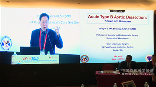 WAyne W Zhang-Acute Type B Aortic Dissection-Known and  Unknown